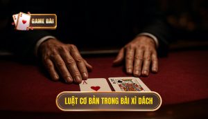luật cơ bản trong bài xì dách